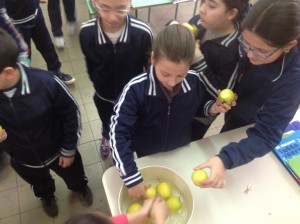 frutta via Maratona 1