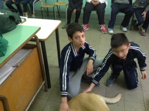 animali1