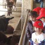 Asilandia_3405_2015