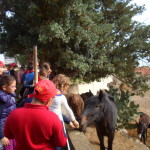 Ponte dei bambini-3084-2014