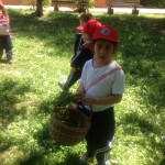 Ponte_bambini_4026_2015