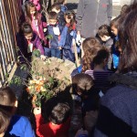 festa-alberi_3205-2014