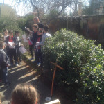 via-crucis-torresino_3869-2015
