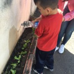 IMG-20160613-WA0012