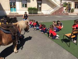 IMG-20160613-WA0013