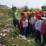 Terre_Bo_18 (1)