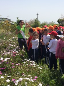 Terre_Bo_18 (1)