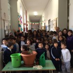 festa_albero3951_maratona_2015