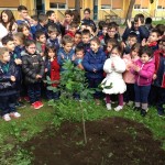 festa_albero_3931_torresino_2015