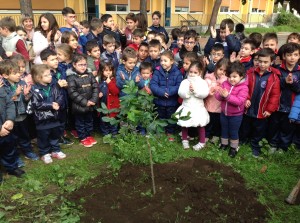 festa_albero_3931_torresino_2015