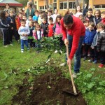 festa_albero_3932_torresino_2015