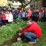 festa_albero_3933_torresino_2015