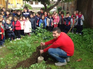 festa_albero_3933_torresino_2015