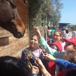 ponte dei bambini  (9)