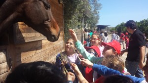 ponte dei bambini  (9)
