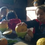 IMG-20170220-WA0003