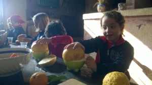 IMG-20170220-WA0003