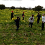 IMG_20170220_114416