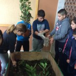 V Sapri (4)