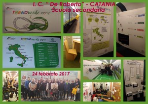 collage TRENOVERDE