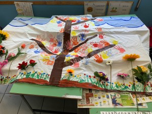 img-3594