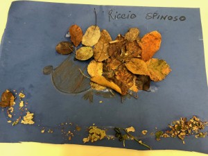 img-4864