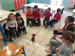 img-5260