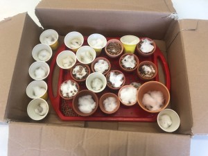 img-5610