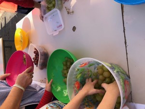 img-5623
