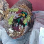 img-20191216-wa0012
