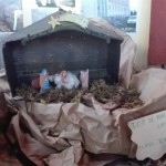 img-20191216-wa0025